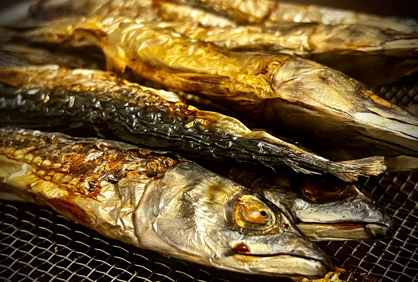 Dehydrated Mackerel